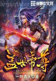 美國極品導(dǎo)航