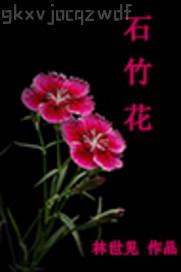 虐性奴姐姐的肛門小說(shuō)